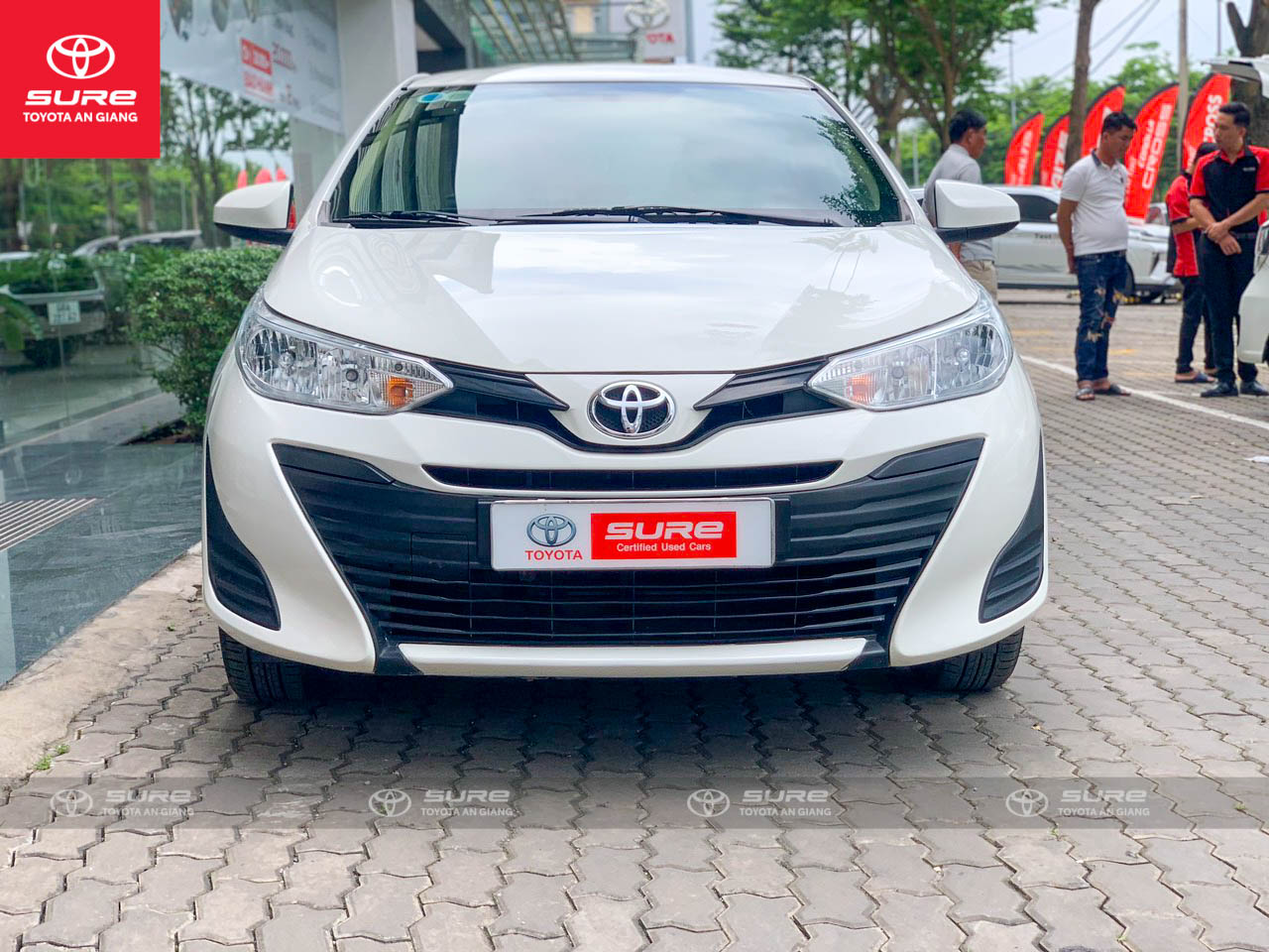 Vios 1.5E MT