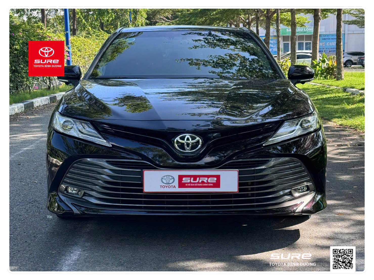 Camry 2.5Q