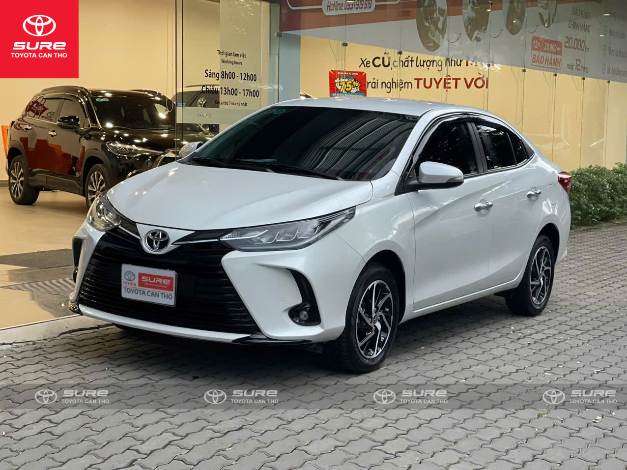 Vios 1.5G