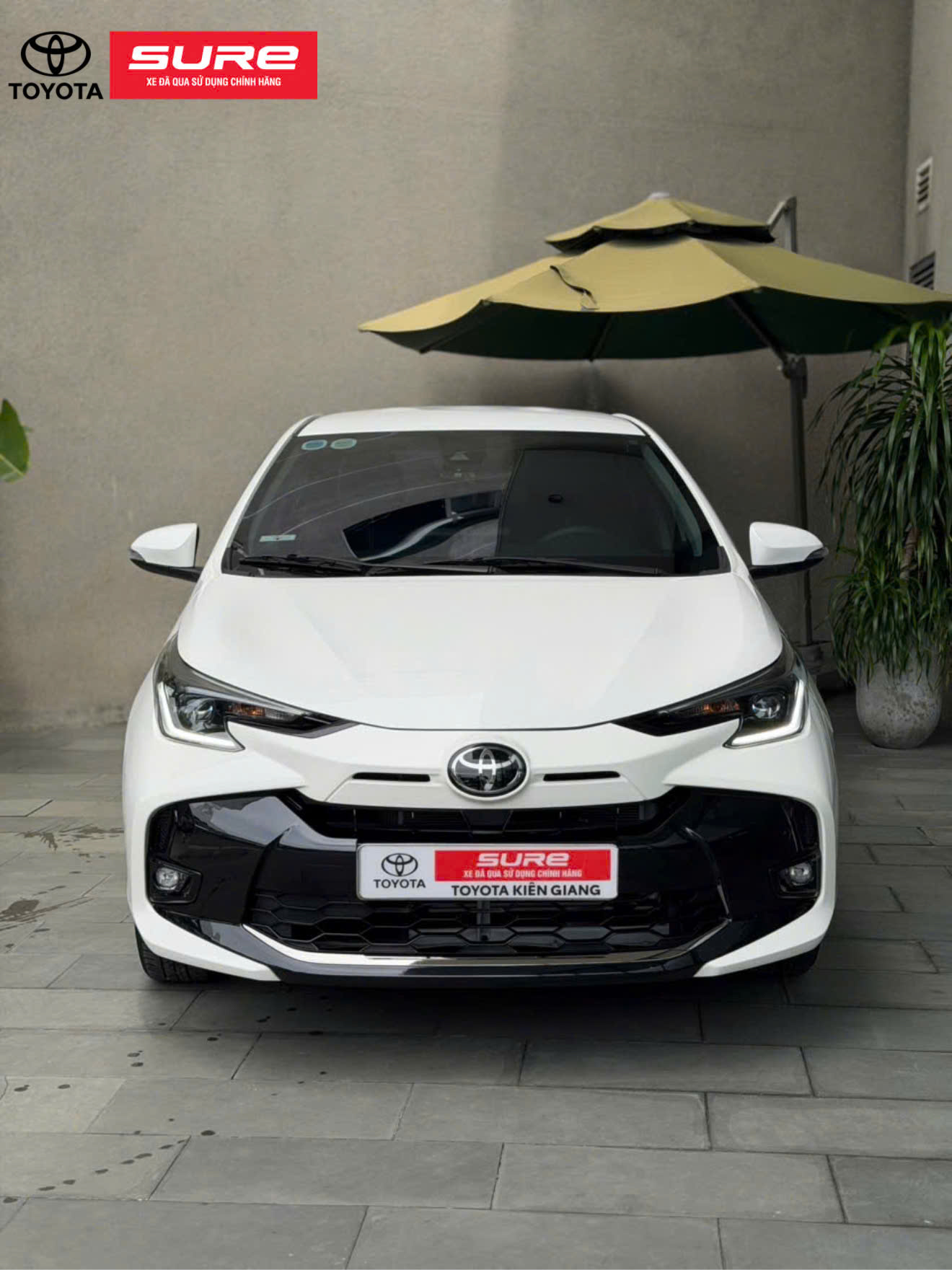 Vios 1.5G CVT