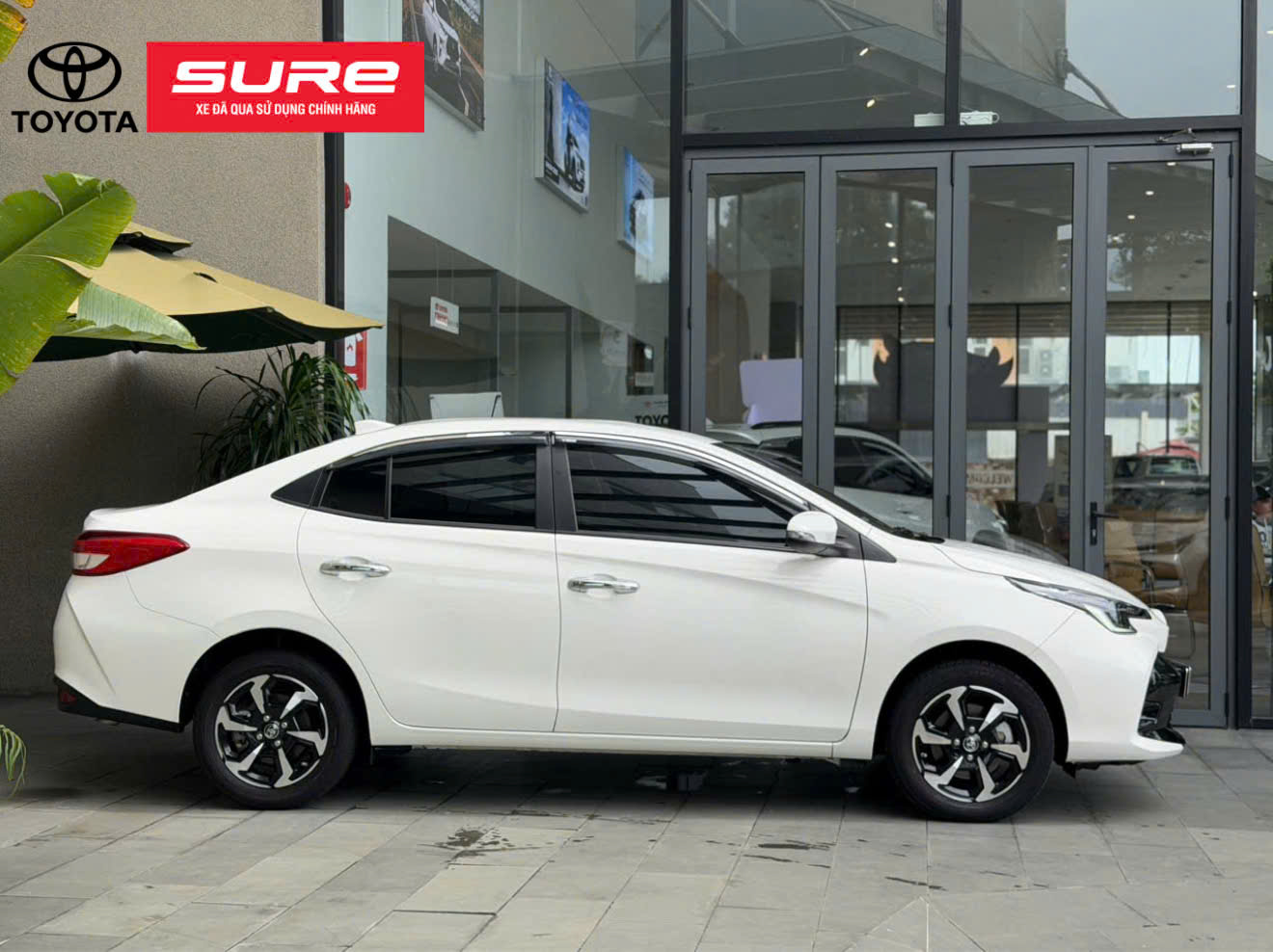 Vios 1.5G CVT