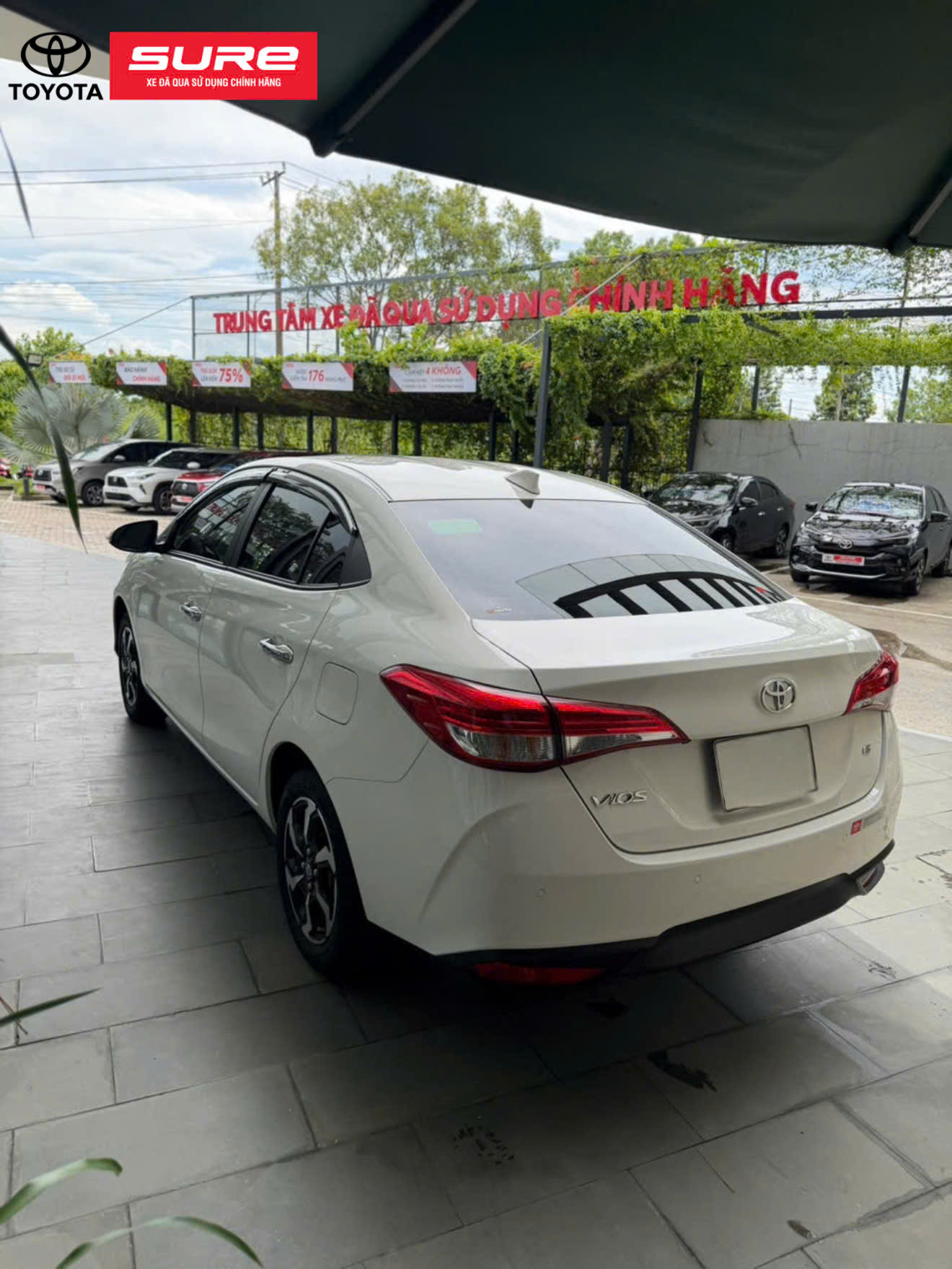 Vios 1.5G CVT