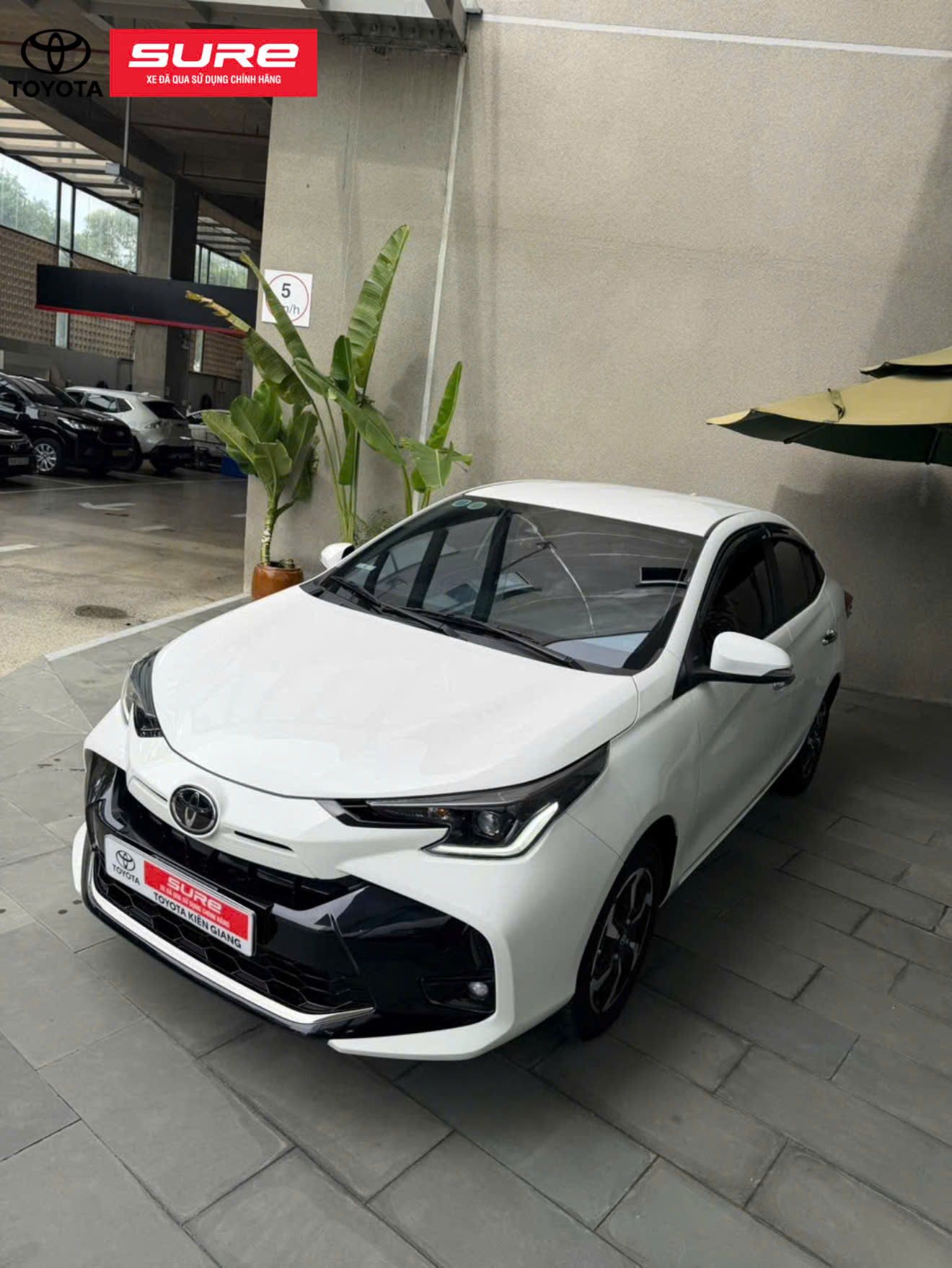 Vios 1.5G CVT