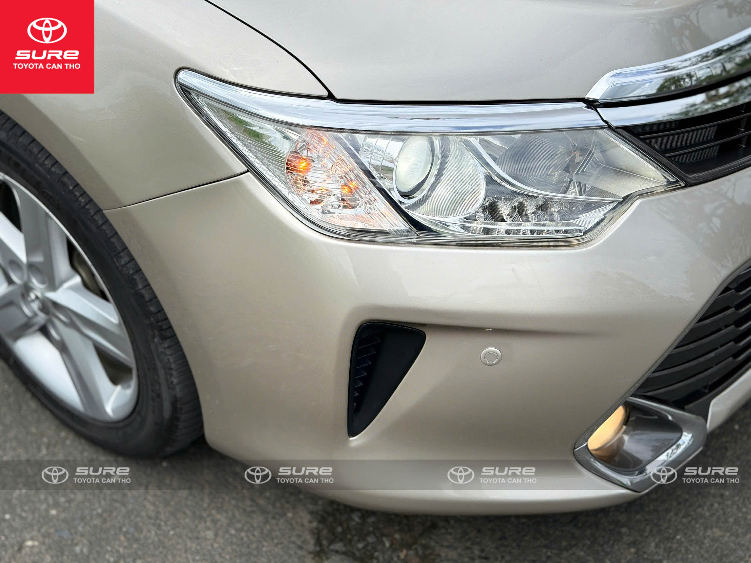 Camry 2.5Q