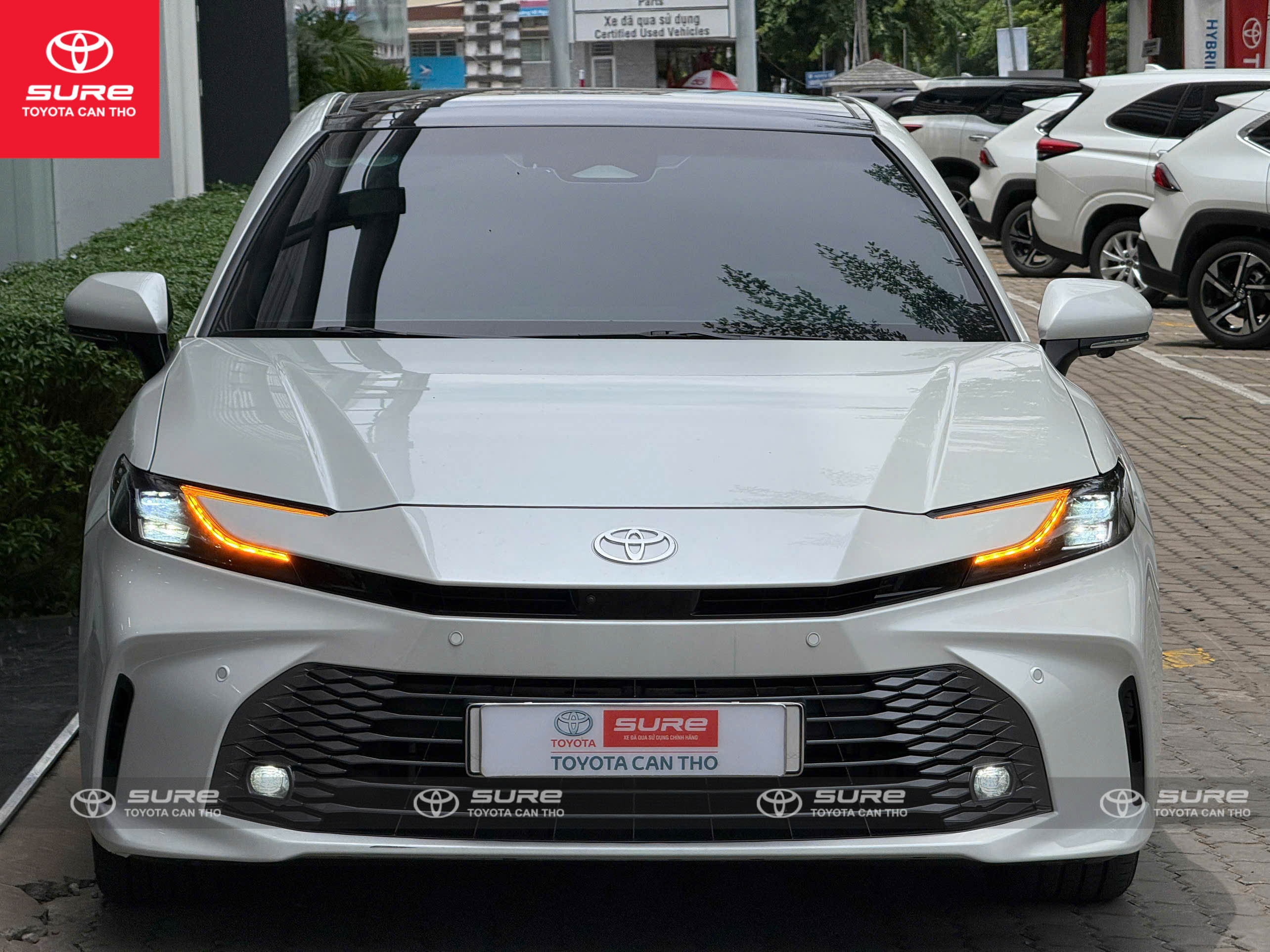 Camry 2.5HV