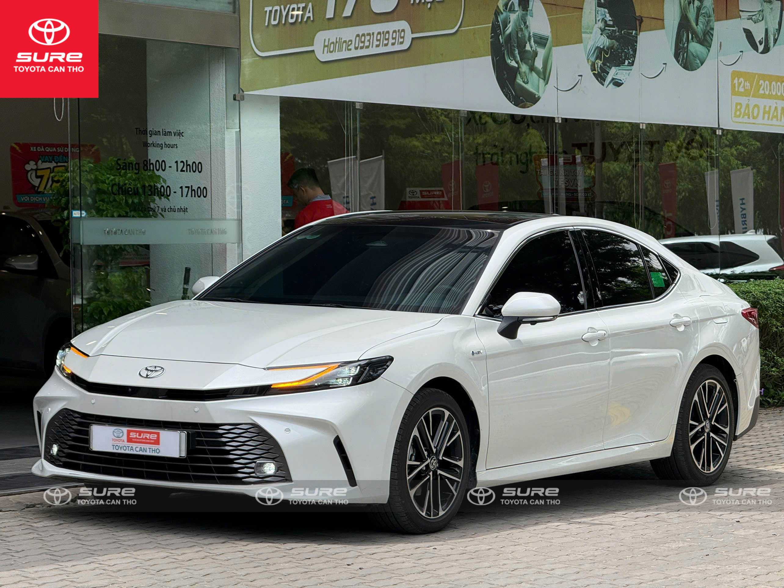 Camry 2.5HV