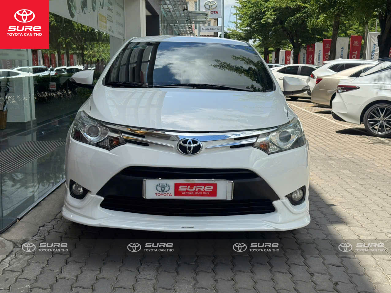 Vios G-RS