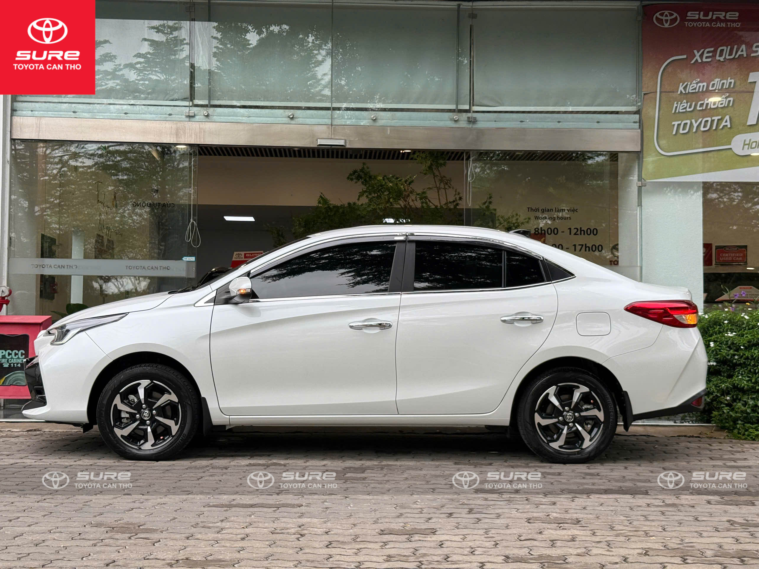 Vios 1.5G CVT