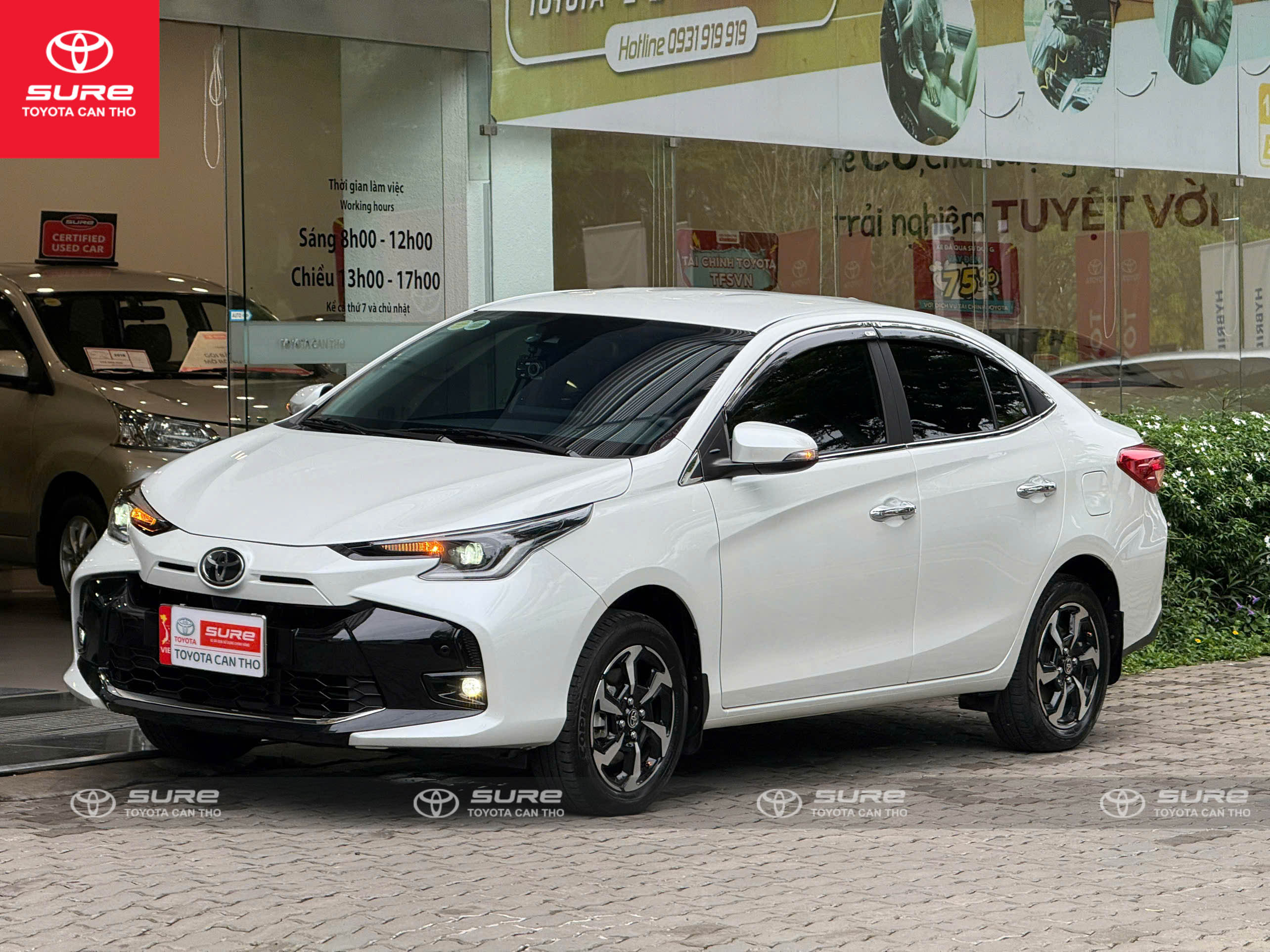 Vios 1.5G CVT