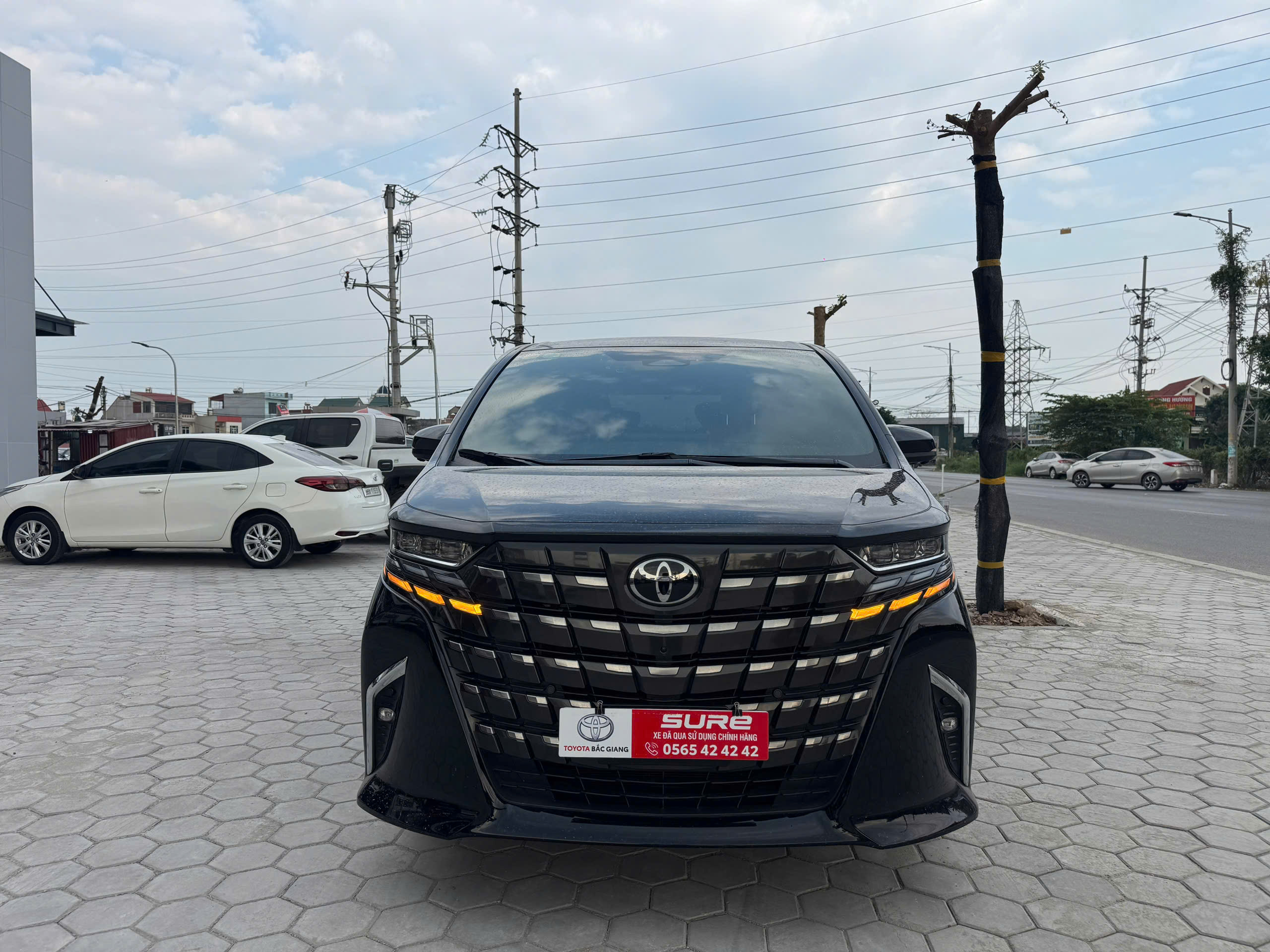 Alphard Luxury